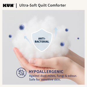 Ultra-Soft Quilt Comforter